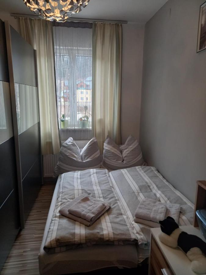 S&W Apartment Loserblick 奥尔陶斯 外观 照片